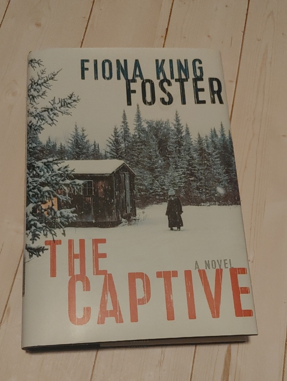 The Captive Adult Novel Mystery Book By Fiona King Foster 2021